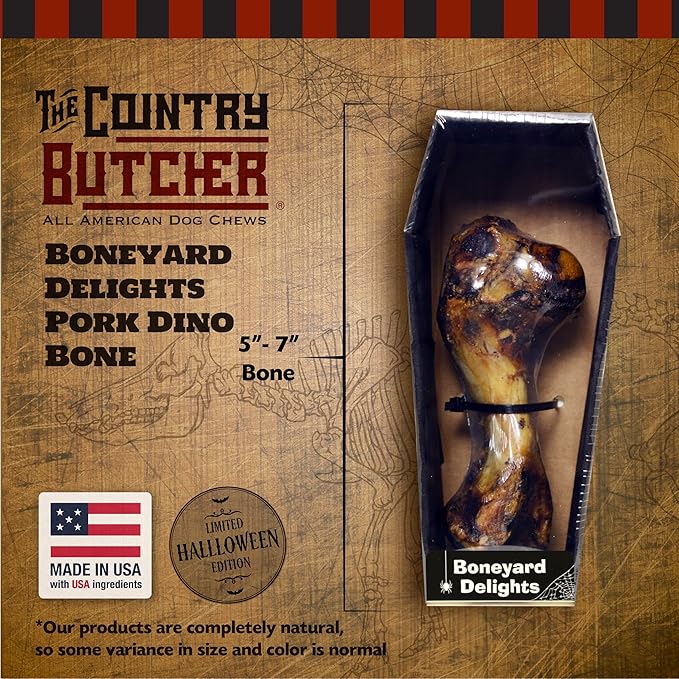 Pork Dino Dog Bone, Halloween Small Coffin Box, Gift for Dogs, 1 Count