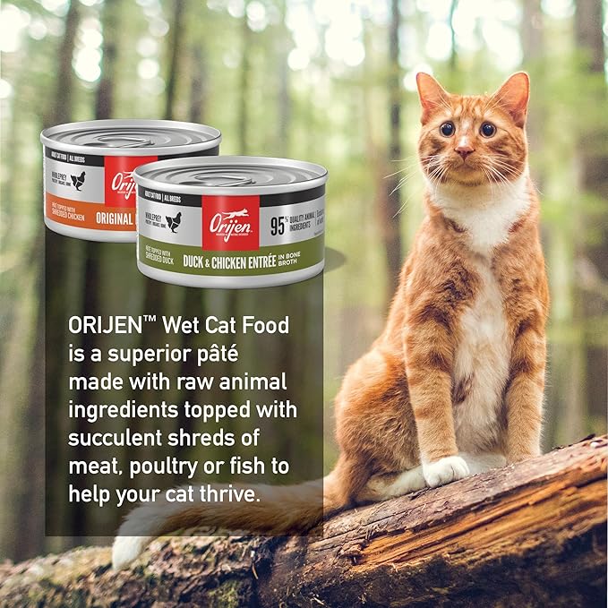 ORIJEN Premium Pate Wet Cat Food Variety Pack: Original + Duck & Chicken Recipes 3oz Cans (12 Count, 6 of Each)