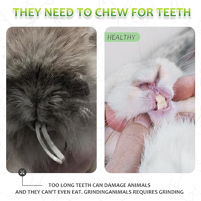 Rabbit Toys 13Pcs, Natural Hay Hamster Chew Toys for Teeth, Handmade Apple Wood Sticks Guinea Pig Bunny Toys Bunny Bed