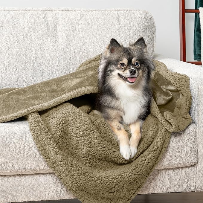 PetAmi Waterproof Dog Blanket for Small Medium Dog Puppy Cat Throw for Couch Cover Leakproof Protection, Sherpa Fleece, Reversible Soft Washable 29x40 Taupe Taupe