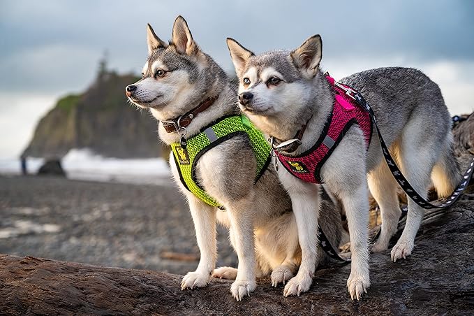 EcoBark Small Dog Harness for Toy Breed Dogs & Puppies - No Pull Soft Luxury Mesh - Step in Harness Halter Vest - Cute Adjustable Little Halter Body Wrap 7-10 lbs (Fuchsia Sport, Small)
