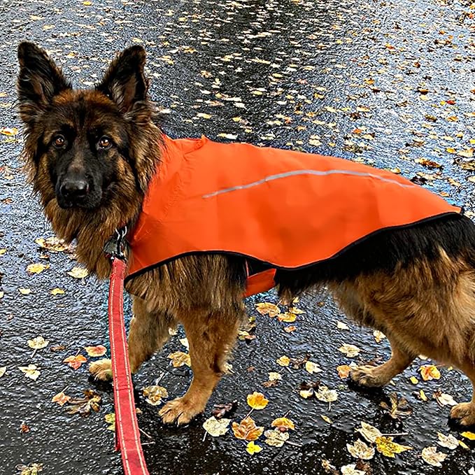 Mile High Life Dog Raincoat, Adjustable Waterproof Reflective Rain Jacket for Small Medium Large Dogs, Lightweight Breathable Pet Rain Coat with Leash Hole(Orange,XXS Chest 16-19")