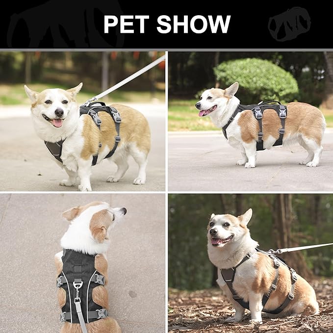 Escape Proof Dog Harness Medium Sized Dog, Reflective No Pull Dog Vest with Handle, Lightweight Full Body Pet Harness Adjustable for Walking,Training(Blue,Chest:17-32")