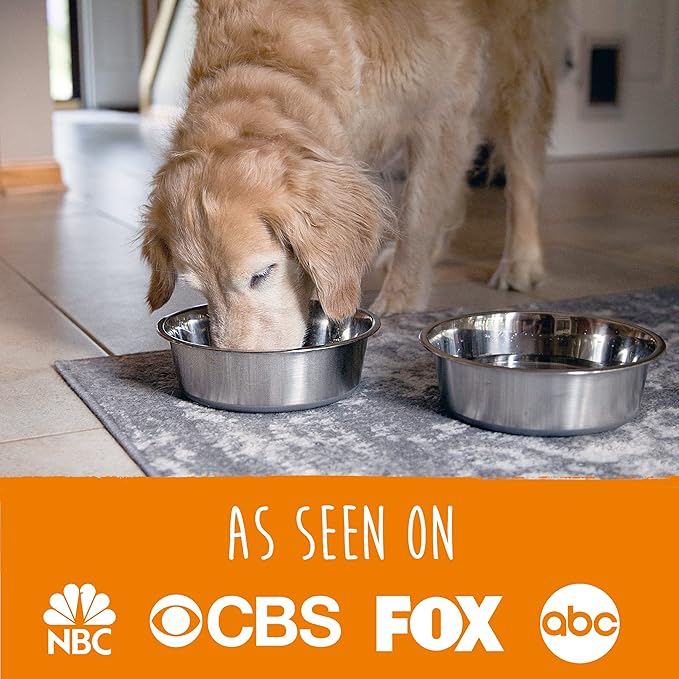 Mighty Paw Dog Bowls Set - Non-Slip Bottom - No Spill Design - Dishwasher Safe - for Small and Large Pets - Stainless Steel Water Bowl - Pet Dishs - Steel Bowls - Doggie Bowl - (Small 5.5”)