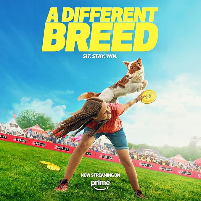 Purina Pro Plan High Protein Dog Food, Small Bites, SPORT 27/17 Lamb and Rice Formula - 6 lb. Bag