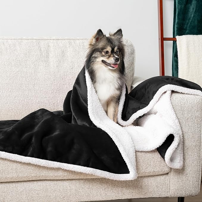 PetAmi Waterproof Dog Blanket for Small Medium Dog Puppy Cat Throw for Couch Cover Leakproof Protection, Sherpa Fleece, Reversible Soft Washable 29x40 Black