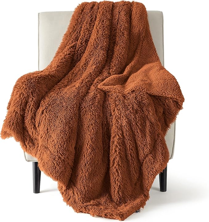 Bedsure GentleSoft Fuzzy Sherpa Faux Fur Twin Blanket Burnt Orange Cozy Gifts for Women Men, Soft Fleece Plush Warm Thick Blanket Twin Size for Bed, Room Dorm Essentials Orange Decor Gifts, 60x80