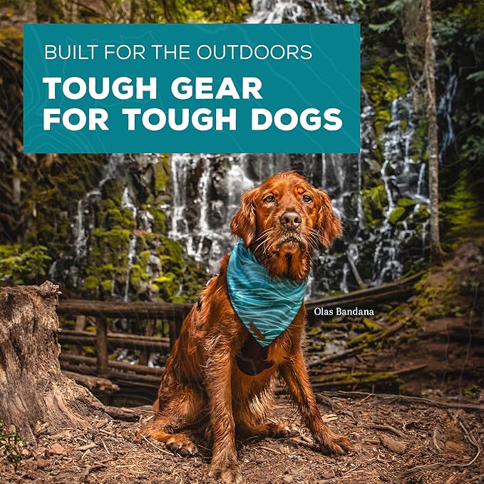 Wilderdog Dog Bandana with Lightweight Quick Drying Poly-Blend Mesh Material in Autumn Air