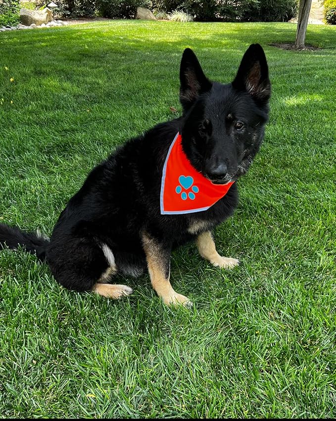 Bandana for Dogs. Blaze Orange Scarf with Reflective Collar is a Perfect Pet Bandana for Girl and Boy Dogs. Enhance Your Dog Walking Accessories with Our High-Visibility Adjustable Dog Handkerchief