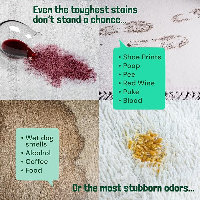 Sunny & Honey Carpet Cleaner Solution - 128 Fl Oz, Spring Mint Scent - Carpet Shampoo & Pet Stain Remover for Upholstery & Rugs, Works With Steam Cleaners