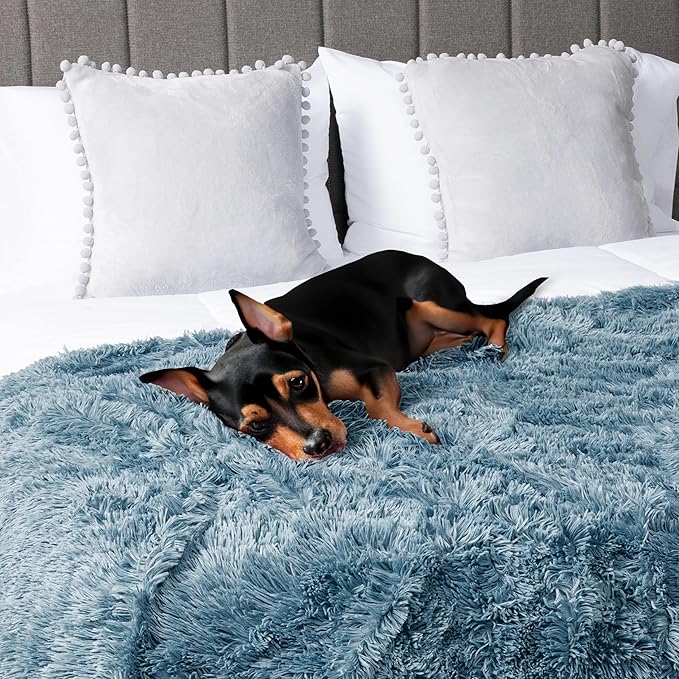 PetAmi Waterproof Dog Blanket for Medium Large Dogs, Calming Fleece Cat Blanket, Couch Protector Washable Sherpa Faux Fur Pet Throw for Puppy, Soft Reversible Leakproof 40x60 Light Blue
