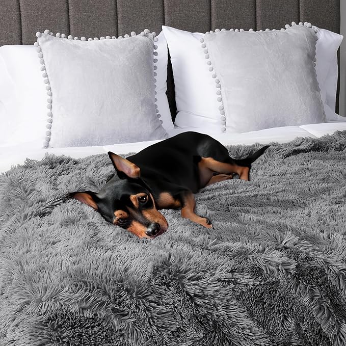 PetAmi Waterproof Dog Blanket for Small Medium Dogs, Calming Fleece Cat Blanket, Couch Protector Washable Sherpa Faux Fur Pet Throw for Puppy, Soft Reversible 29x40 Gray