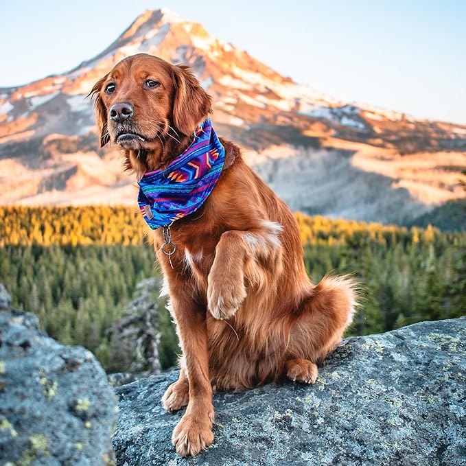 Wilderdog Dog Bandana with Lightweight Quick Drying Poly-Blend Mesh Material in Big Sky