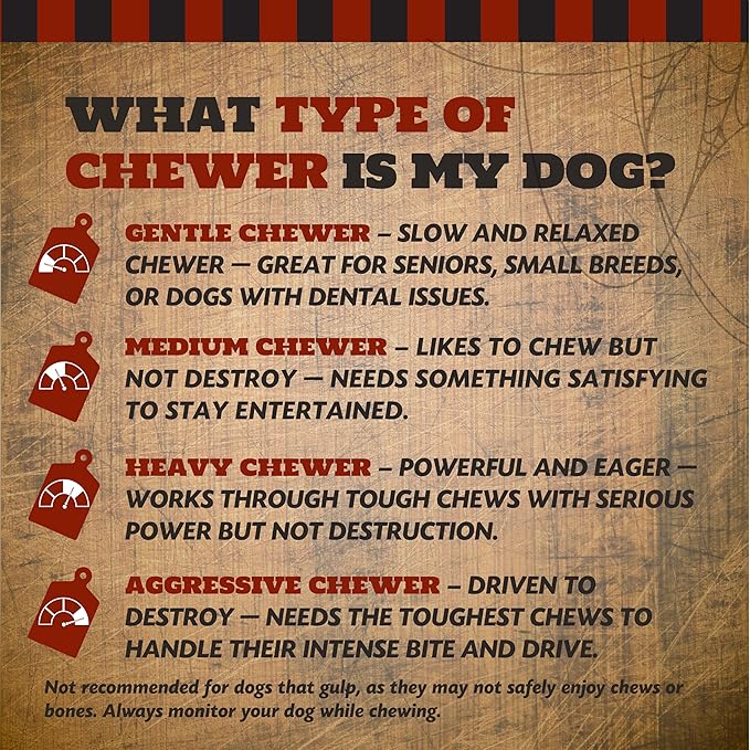 Pork Dino Dog Bone, Halloween Small Coffin Box, Gift for Dogs, 1 Count