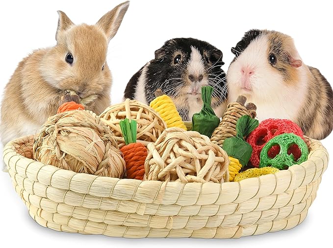 Rabbit Toys 13Pcs, Natural Hay Hamster Chew Toys for Teeth, Handmade Apple Wood Sticks Guinea Pig Bunny Toys Bunny Bed