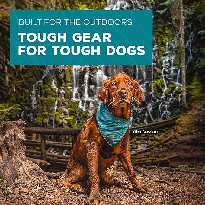 Wilderdog Dog Bandana with Lightweight Quick Drying Poly-Blend Mesh Material in Rainbow