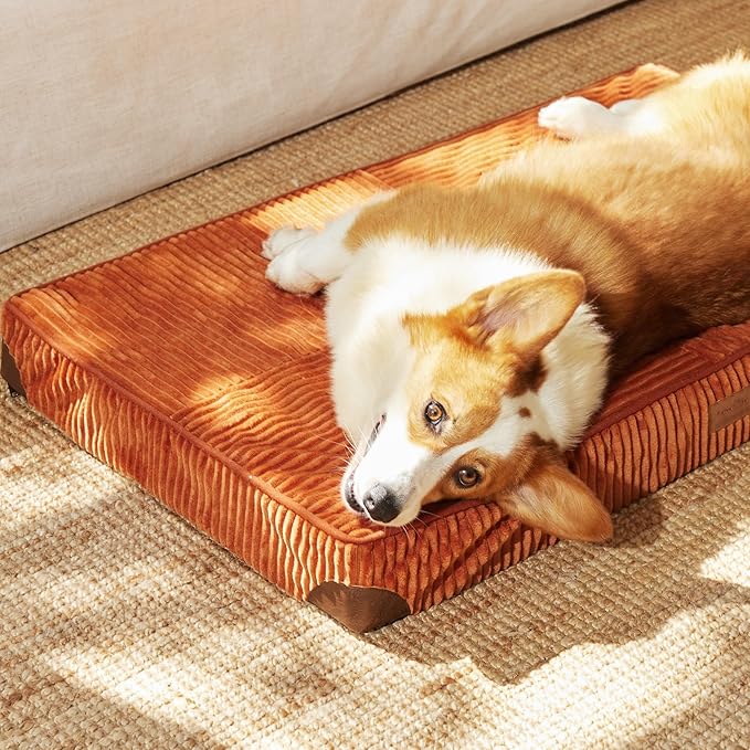 FUKUMARU Dog Bed, Plush Corduroy Orthopedic Dog Beds with Washable Cover, Large Waterproof Dogs Bed for Crate, Egg Crate Foam Support Pet Mat, Cozy Pet Bed Mat with Anti-Slip Bottom, Orange