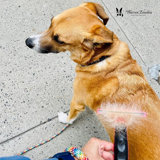 Warren London Deshedding Brush for Dogs – Large Short-Hair | 4-in Stainless-Steel Undercoat Rake Reduces Shedding Up to 95% | Gentle Skin-Safe Comb, Quick-Clean Release, Non-Slip Ergonomic Grip