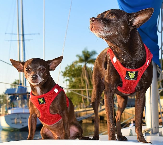 EcoBark Rapid Fastener Super Comfort Fully Adjustable Double Padded Step in Dog Harness (Large, Red)