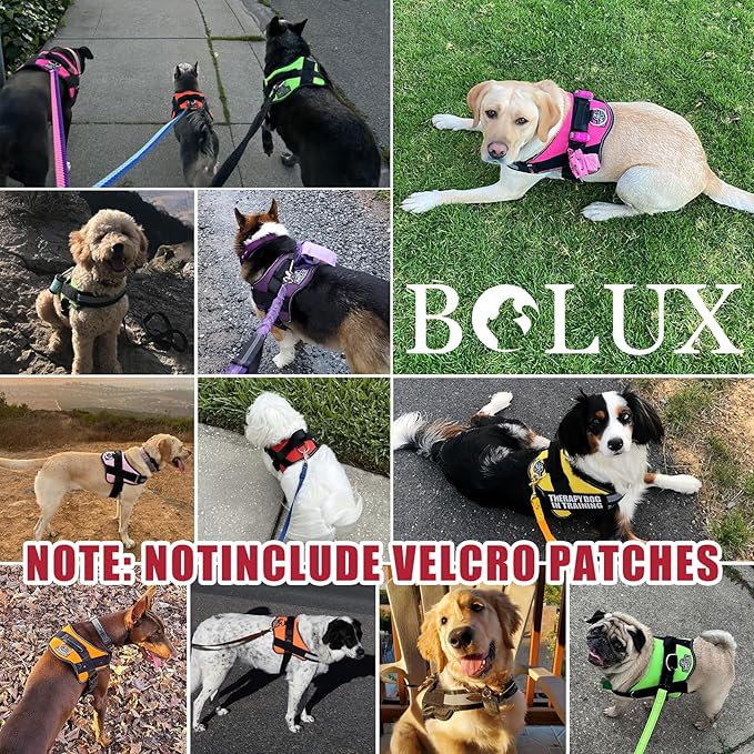 Bolux Dog Harness, No-Pull Reflective Dog Vest, Breathable Adjustable Pet Harness with Handle for Outdoor Walking - No More Pulling, Tugging or Choking (Flag, Medium)