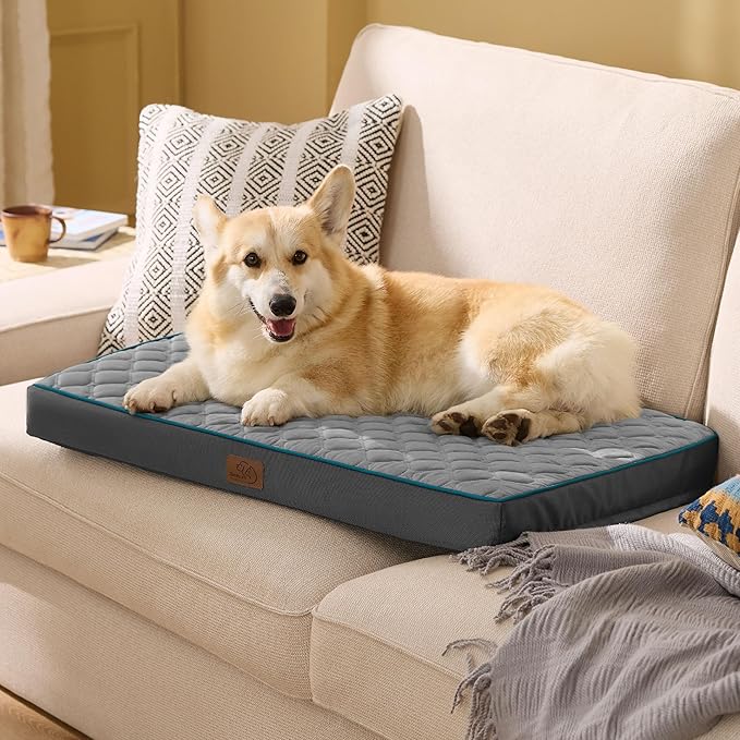 Bedsure Orthopedic Dog Bed for Medium Dogs - Flat Memory Foam Pet Mattress with Removable Washable Cover and Egg Crate Foam, Suitable for Pet Up to 35 lbs, 30x20x3 Inches, Grey