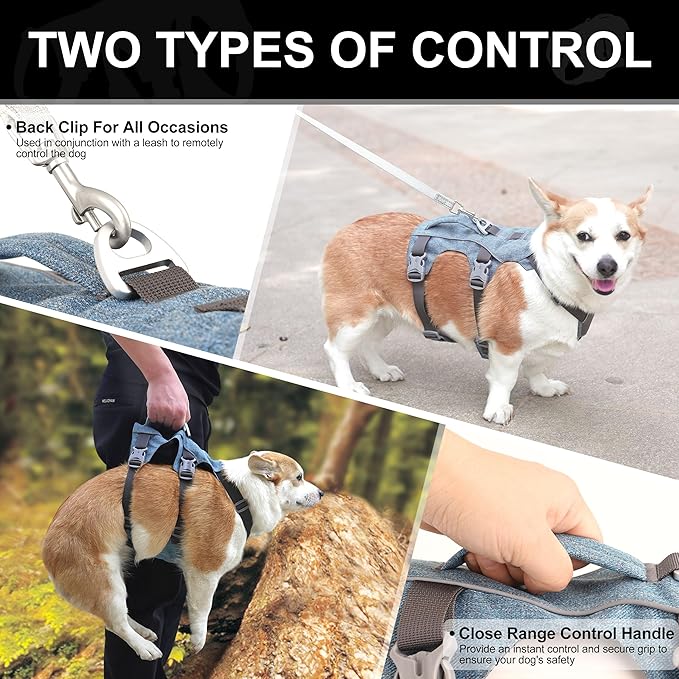 Escape Proof Dog Harness Small Sized Dog, Reflective No Pull Dog Vest with Handle, Lightweight Full Body Pet Harness Adjustable for Walking,Training(Blue,Chest:16-27")