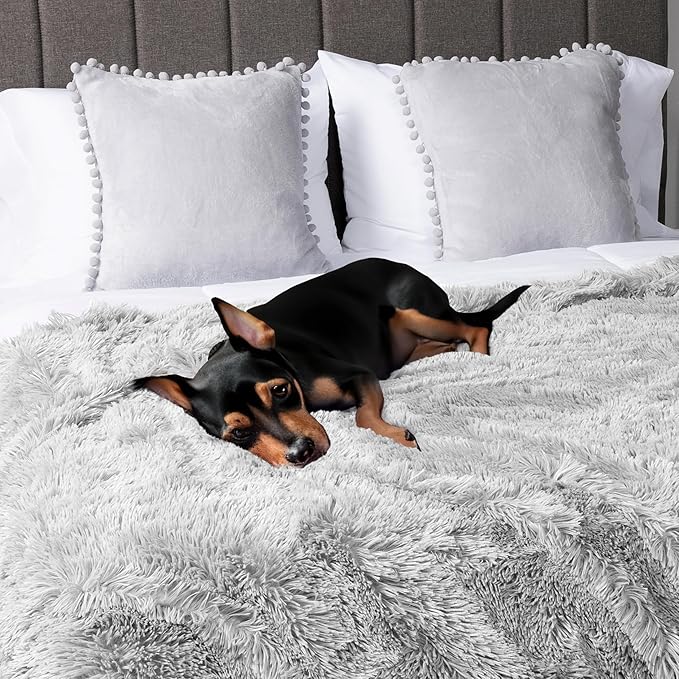 PetAmi Waterproof Dog Blanket for Large Dog, Calming Pet Blanket Bed Couch Cover Protector, Washable Sherpa Faux Fur Throw for Sofa Furniture Protection, Soft Fluffy 60x80 Light Gray