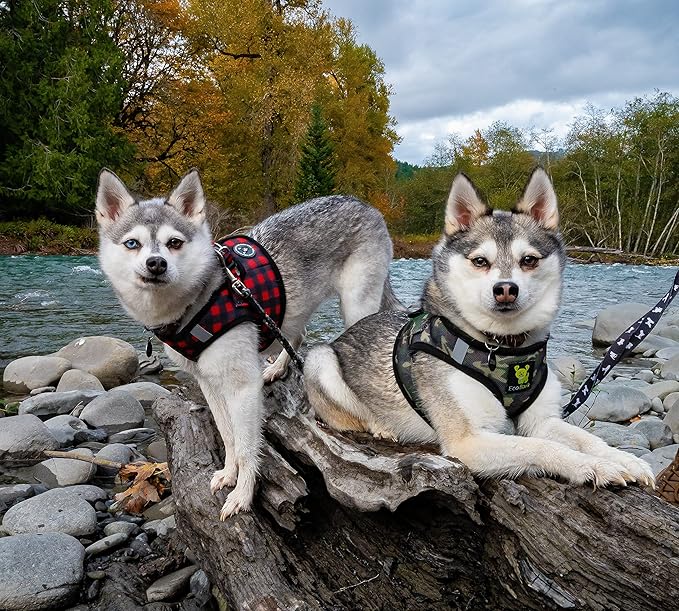 EcoBark Step in Dog Harness - Eco-Friendly Dog Harnesses for for Small & Medium Breed Dogs - Reflective and Adjustable Chest Body Halter Vest -Soft Luxurious Mesh (Camo, XL)