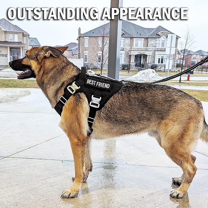 Pets ProMax Heavy Duty Tactical Dog Harness with All Metal Buckles | No-Pull K9 Vest with MOLLE System & Handle for Medium Dogs | Waterproof & Durable for Training, Hiking, and Service. Black (M)