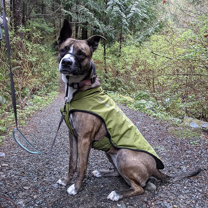 Mile High Life Dog Raincoat, Adjustable Waterproof Reflective Rain Jacket for Small Medium Large Dogs, Lightweight Breathable Pet Rain Coat with Leash Hole(Lime Yellow,L Chest 32-40")