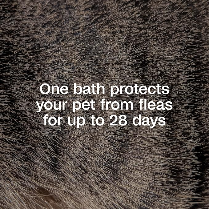 ADAMS Plus Flea & Tick Shampoo with Precor IGR for Cats, Kittens, Dogs & Puppies Over 12 Weeks Of Age, Sensitive Skin Flea Treatment, Kills Adult Fleas, Flea Eggs, Ticks, and Lice, 6 Ounces